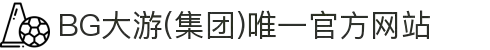 BG大游(集团)唯一官方网站